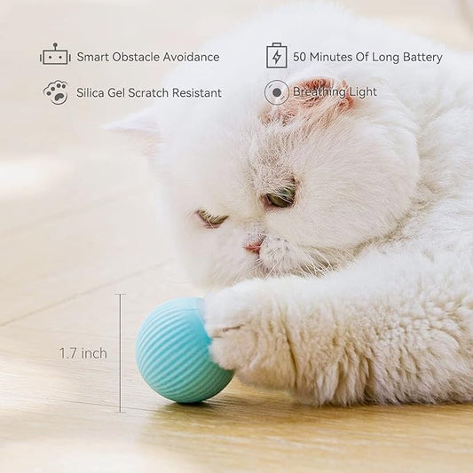Interactive Cat Toy Ball with LED Light, 360Β° Self-Rotating Electric Ball, USB Rechargeable Electric Cat Toy
